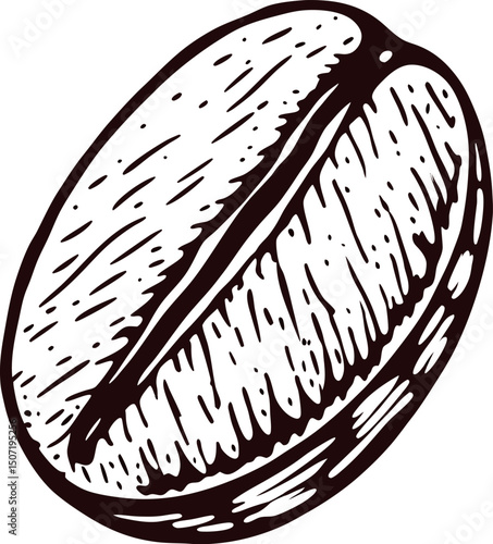 Detailed of a single coffee bean showing texture and structure
