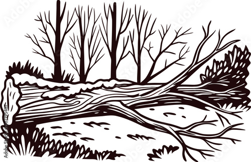 Fallen tree trunk in winter forest landscape with leafless trees and sparse vegetation