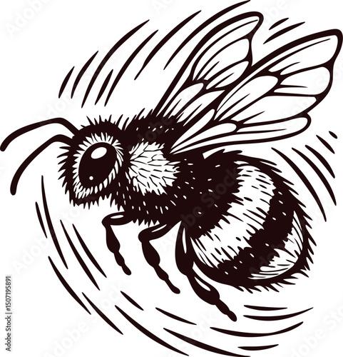 Detailed ink drawing of a flying bee with textured wings and striped abdomen