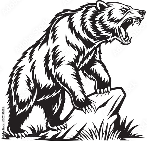 brown bear vector illustration