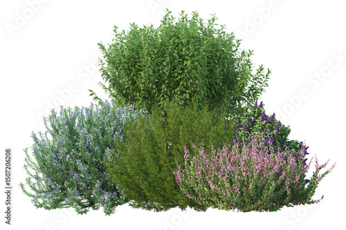 Fototapeta Colorful flowers and shrubs, diverse collection isolated for garden design