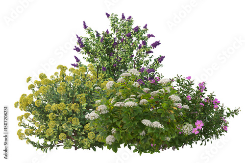 Floral and foliage variety, blooming flowers and greenery shrubs isolated background