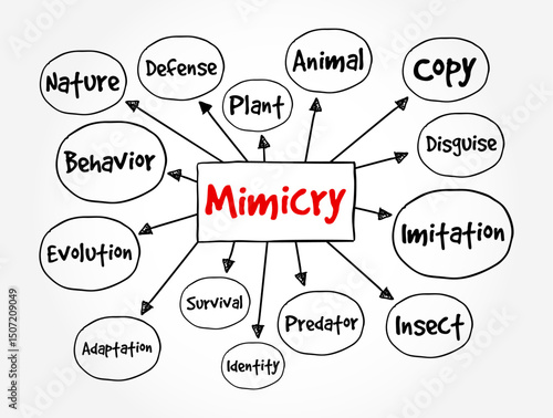 Mimicry is an evolved resemblance between an organism and another object, mind map text concept background