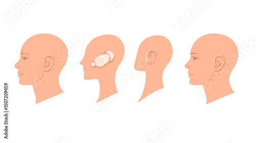Medical Illustration of Detailed Human Ear Anatomy Various Views on White Background