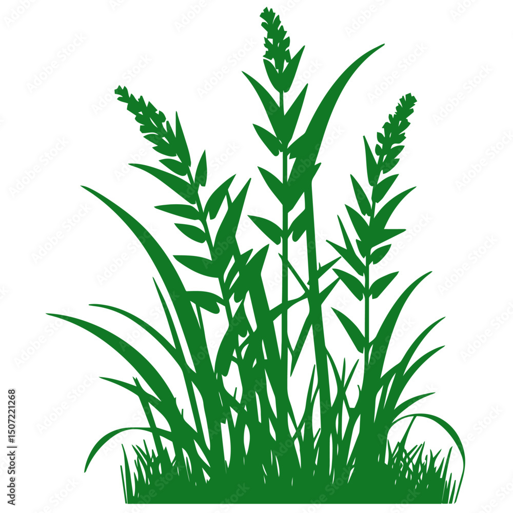 Fototapeta premium grass, nature, plant,leaf,ambush isolated vector 