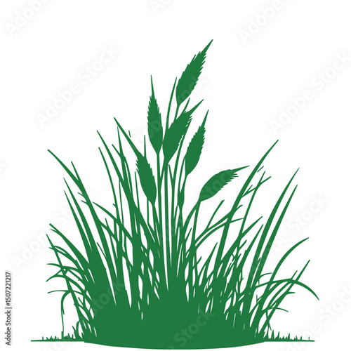 grass, nature, plant,leaf,ambush isolated vector 