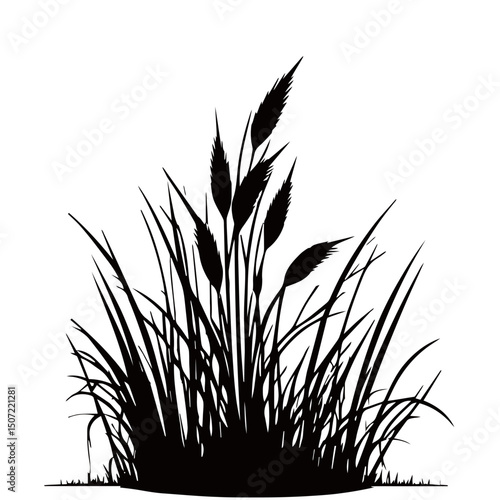 grass, nature, plant,leaf,ambush isolated vector 