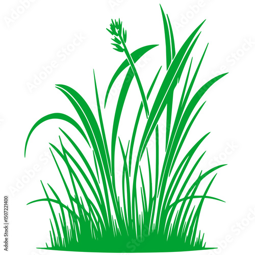 grass, nature, plant,leaf,ambush isolated vector 