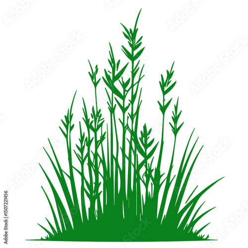grass, nature, plant,leaf,ambush isolated vector 