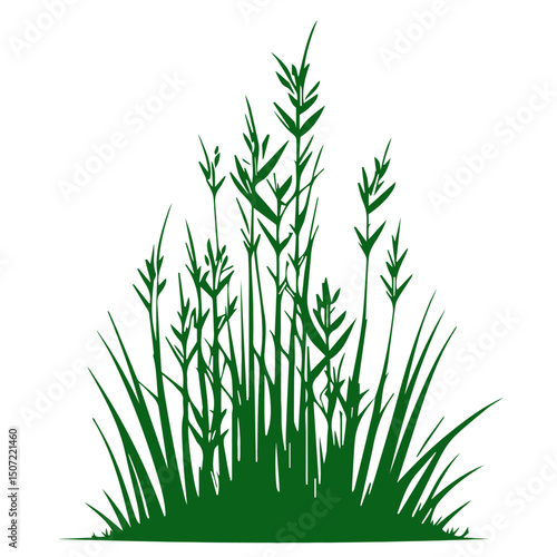 grass, nature, plant,leaf,ambush isolated vector 