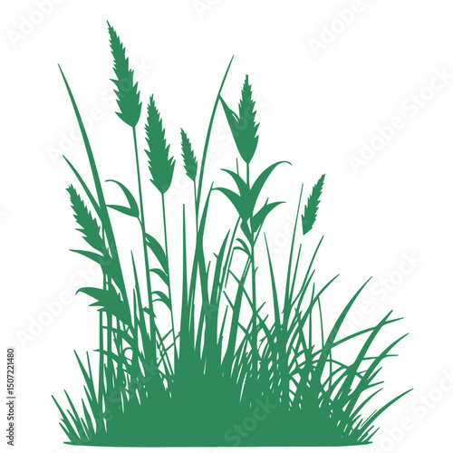 grass, nature, plant,leaf,ambush isolated vector 