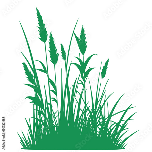grass, nature, plant,leaf,ambush isolated vector 