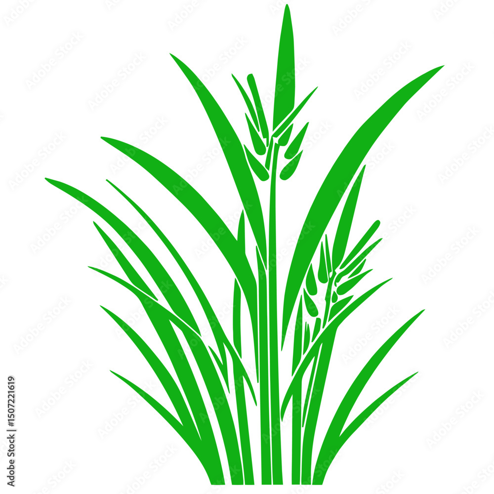 Fototapeta premium grass, nature, plant,leaf,ambush isolated vector 