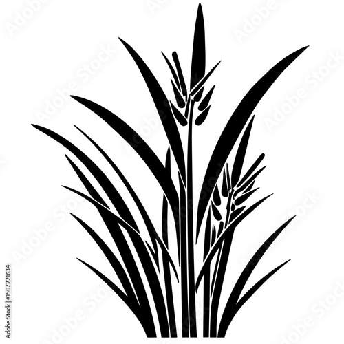 grass, nature, plant,leaf,ambush isolated vector 
