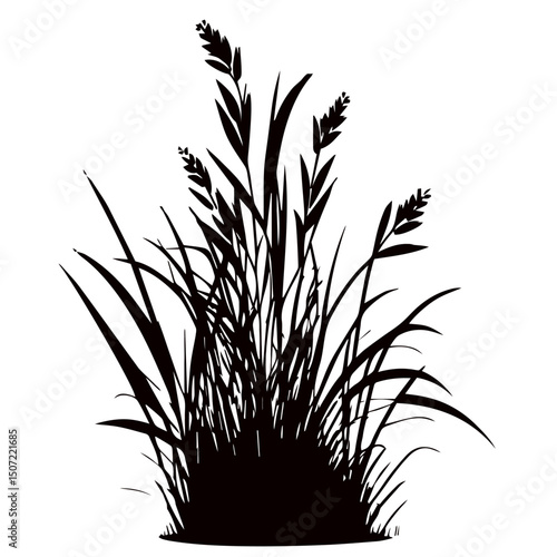 grass, nature, plant,leaf,ambush isolated vector 
