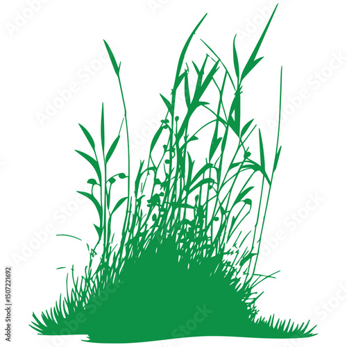 grass, nature, plant,leaf,ambush isolated vector 