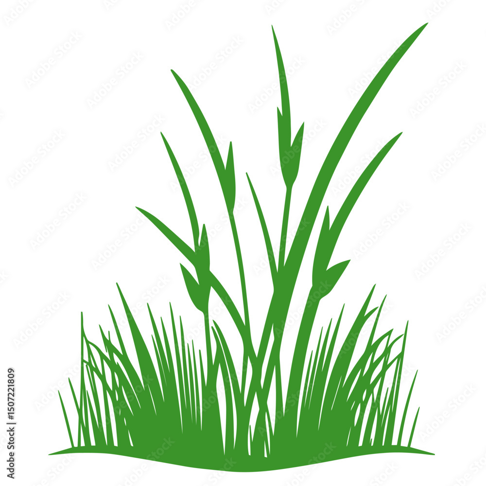 Obraz premium grass, nature, plant,leaf,ambush isolated vector 