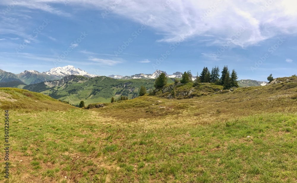 Fototapeta premium Scenic mountain landscape view with vast green fields and snowy peaks