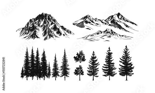 Snowy Mountain Terrain Illustration, Engraved Cold Forest Pack, Narrow Pine Vector, Alpine Fir Tree Silhouettes, Ski Forest Scene, Winter Woods, Vector Illustration, Evergreen, Cutout.