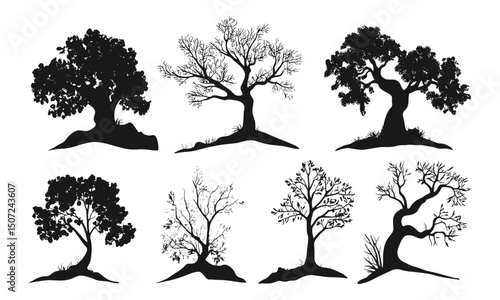 Forest silhouette, beech tree icons, mountain landscape, engraving style, seasonal nature elements, tree clipart, natural environment, vector illustration.