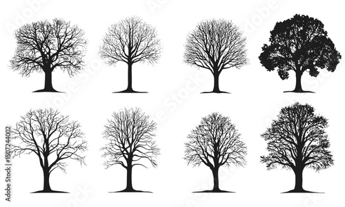Mountain forest silhouette, beech tree clipart, seasonal nature design, engraving style, organic tree shapes, woodland scenery, vector illustration.