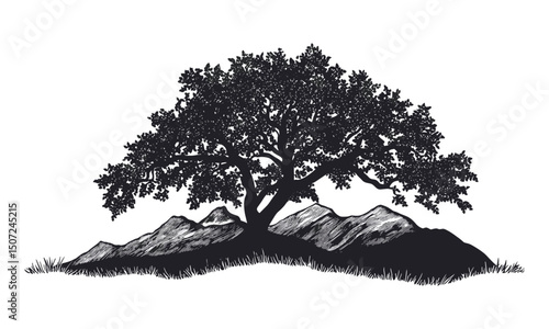 Forest Silhouette Pack, beech tree mountain scene, summer wild tree, engraving style, nature vector illustration, woodland scenery, outdoor landscape, vector illustration.