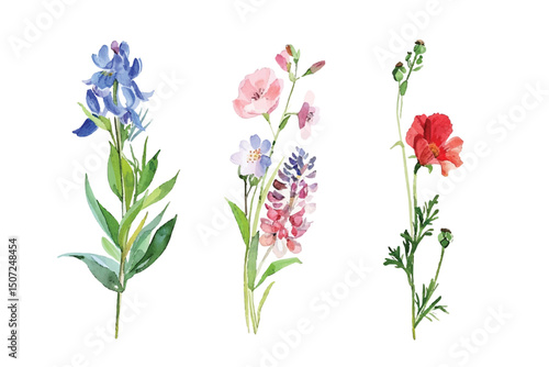 Adobe Illustrator Artwork