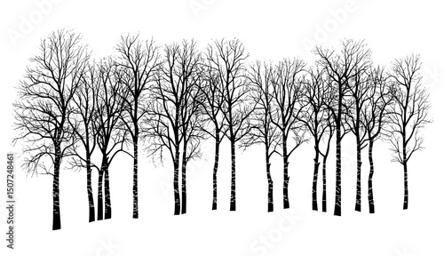 Arctic Woodland Birch Tree, snow theme, forest silhouette, black tree, engraving style, nature scenery, winter environment, vector illustration, outdoor landscape.