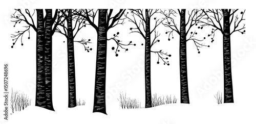 Snowy birch tree, Scandinavian forest silhouette, wild tree engraving style, seasonal nature clipart, winter woodland, tree outline, vector illustration, serene outdoor environment.