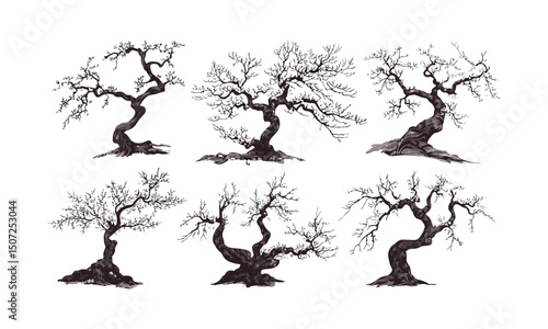 Engraved Flower Canopy, vintage plum tree silhouettes, curved branch art, oriental spring theme, vector illustration, delicate floral patterns, botanical design, elegant nature motifs, seasonal bloom.