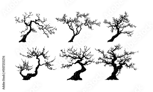 Vintage Nature Vector Illustration, blossoming plum tree silhouettes, engraved floral canopy, curved branch art, oriental spring theme, botanical elements, floral design, garden motifs