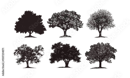 Walnut tree silhouettes, breezy meadow, warm countryside clipart, orchard canopy vector, open field scene, vector illustration, farm landscape, pastoral scenery, tree outlines.