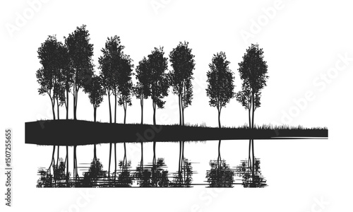 Lakeside valley scene with tall thin poplar tree silhouettes, calm nature design, reflective water forest, engraved trunk vector illustration, serene landscape, peaceful outdoors.