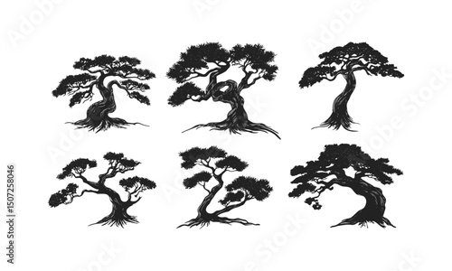 Vintage tree, cedar tree pack, subtropical summer theme, forest silhouette, hand-drawn, organic design, vector illustration, nature background, eco forest, botanical silhouette.