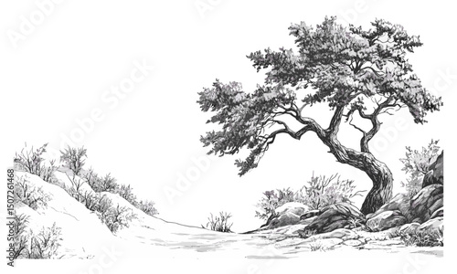 Alpine winter forest scene, cedar tree woodland, engraving style, wild tree silhouette, nature design, vector illustration, mountain wilderness, calm landscape, eco scenery, outdoor tranquility.