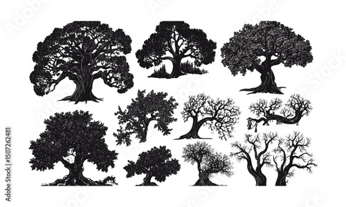 Celtic oak tree vector illustration, mythology forest, sacred tree silhouette, thick trunk, strong branches, spiritual woodland, vintage clipart, seasonal oak set, ancient forest nature art.