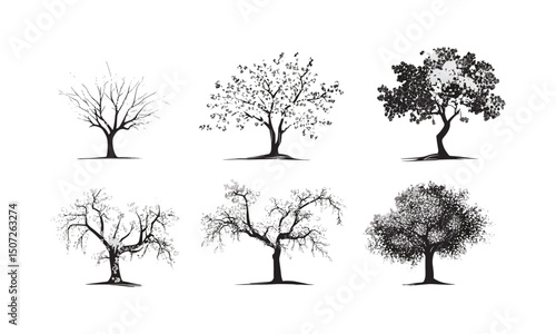 Engraved Cherry Blossom Tree Silhouettes, Japanese springtime floral canopy, blooming flower vector illustration, tranquil garden background, seasonal nature scenery, delicate flower branch design.
