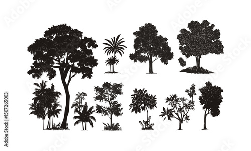 Chestnut Tree Outdoor Design Set, forest silhouette, black tree, wild nature, natural art, summer temperate scene, tree clipart, vector illustration, botanical illustration, rustic landscape.