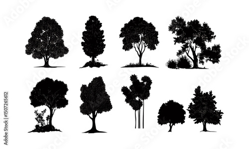 Outdoor Chestnut Tree Design Set, summer forest silhouette, natural art, wild nature, black tree clipart, temperate scene, vector illustration, woodland scenery, seasonal landscape, tree drawing.