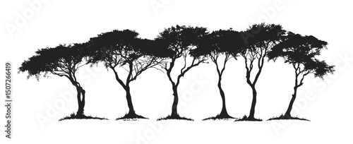 Coastal Tamarind Tree Silhouettes, island jungle design, tropical shoreline scene, curved tree trunks, beachy clipart pack, lush canopy vector, humid forest art, tropical nature vector illustration.