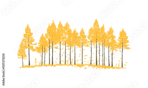 Crisp Autumn Aspen Tree Silhouettes, golden foliage scene, engraved leaf fall trees, mountain forest, natural parkland clipart, vector illustration, scenic landscape, seasonal nature design.