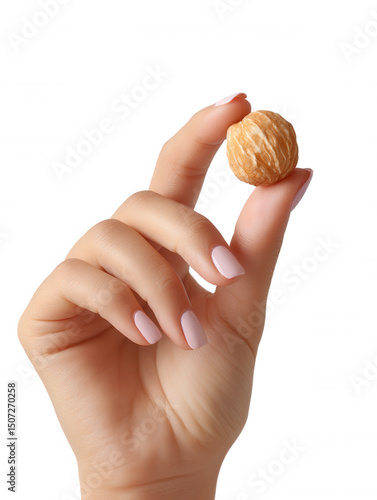 A woman's manicured hand delicately holds a single, round, ed walnut between her thumb and forefinger against a bright, clean white background for a crisp image.