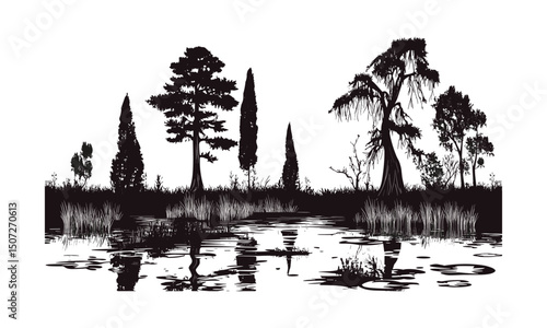 Cypress tree vector, forest silhouette, seasonal nature, botanical element, wetland scene, hand-drawn, nature icons set, swamp landscape, wildlife habitat, vector illustration.