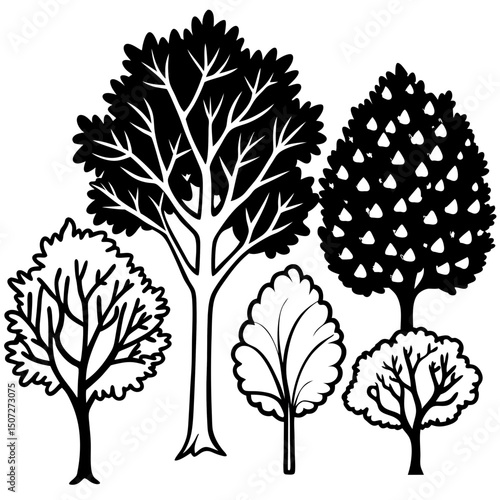 Deciduous Tree Silhouettes – Black Vector on White