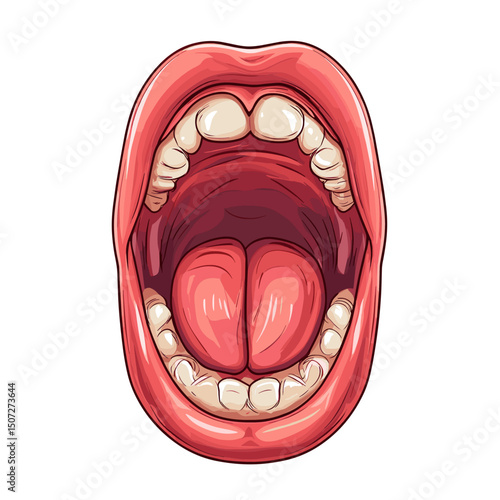 Open Mouth Detailed Close Up Illustration of Human Oral Cavity Featuring Teeth Tongue and Lips in Pink Red and White on a Clear Background