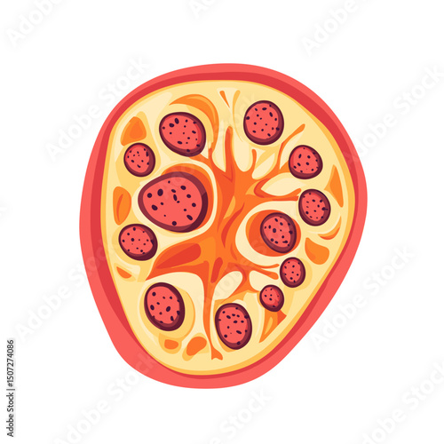 Overhead Flat Illustration of a Round Pepperoni Pizza with Red Sauce and a Light Yellow Crust on a White Background