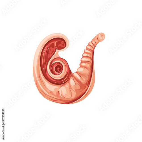 Pixel Art Depiction of a Swirled Seashell with White Background Isolated