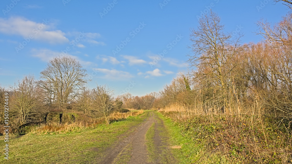Fototapeta premium Hiking trail through a sunny marsh landscape in the flemish countryside. Bourgoyen nature reserve, Ghent, Belgium