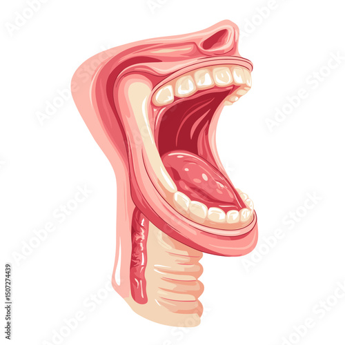 Pixel Art Illustration of an Open Human Mouth with Tongue Teeth and Throat Showing Oral Anatomy in Pink and White