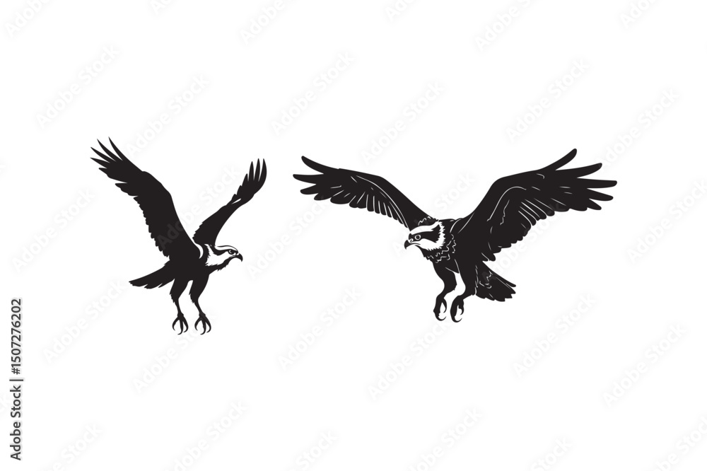 Obraz premium Majestic eagle in flight high resolution vector illustration